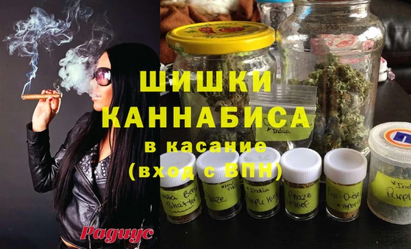 сатива Балабаново