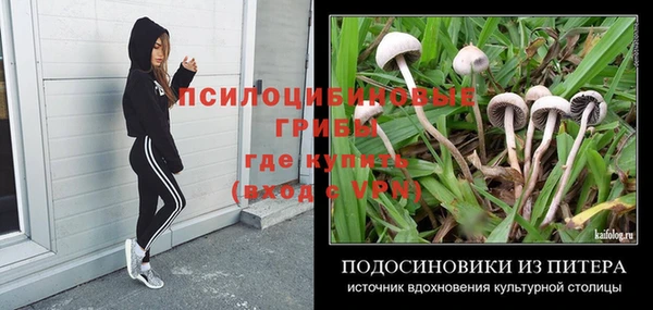 сатива Балабаново