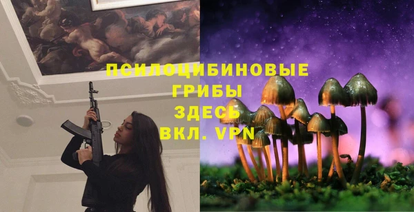 сатива Балабаново
