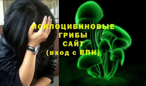 сатива Балабаново