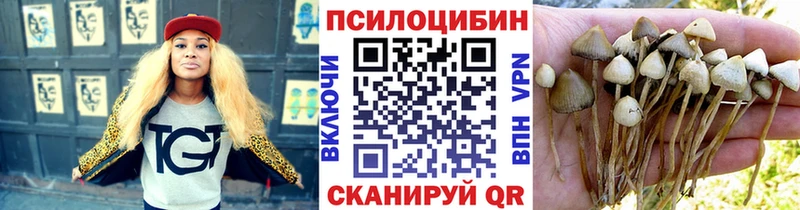 закладка  Уварово  Псилоцибиновые грибы прущие грибы 